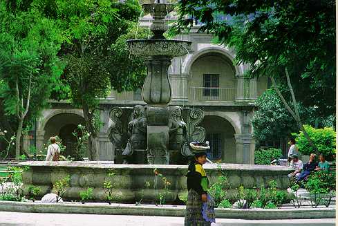 Sin ttulo10.jpg (37688 bytes)