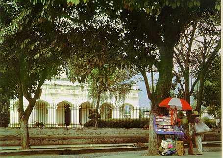 Sin ttulo11.jpg (36773 bytes)